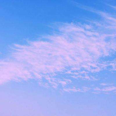 海星体育app下载ios截图