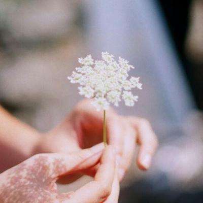 澳门王中王100%的资料下载手机版